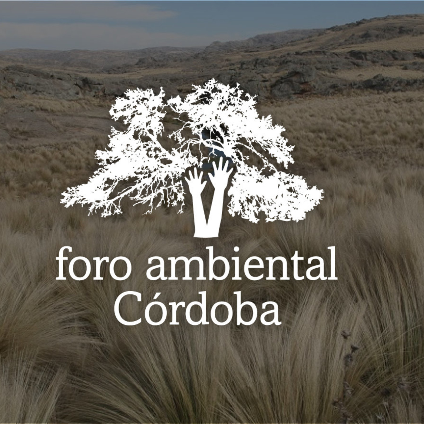 El Río Suquía agoniza. episode artwork