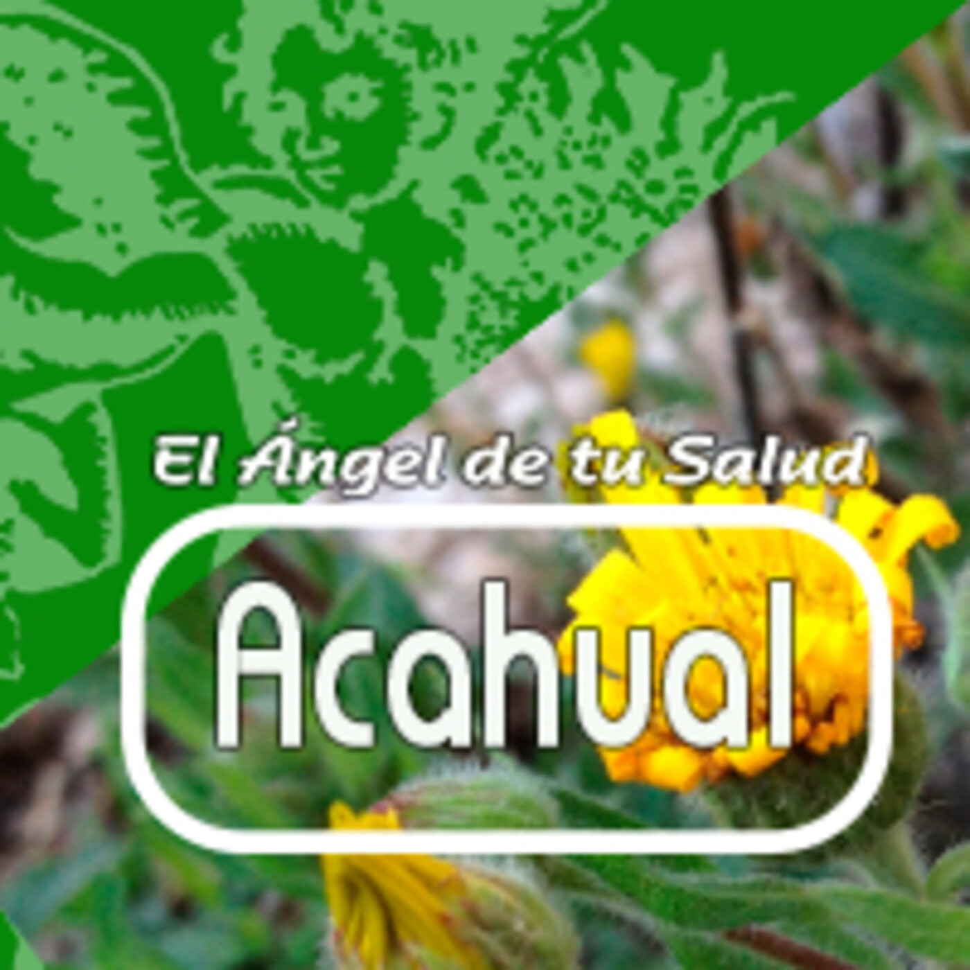 El Ángel de tu Salud - ACAHUAL** episode artwork