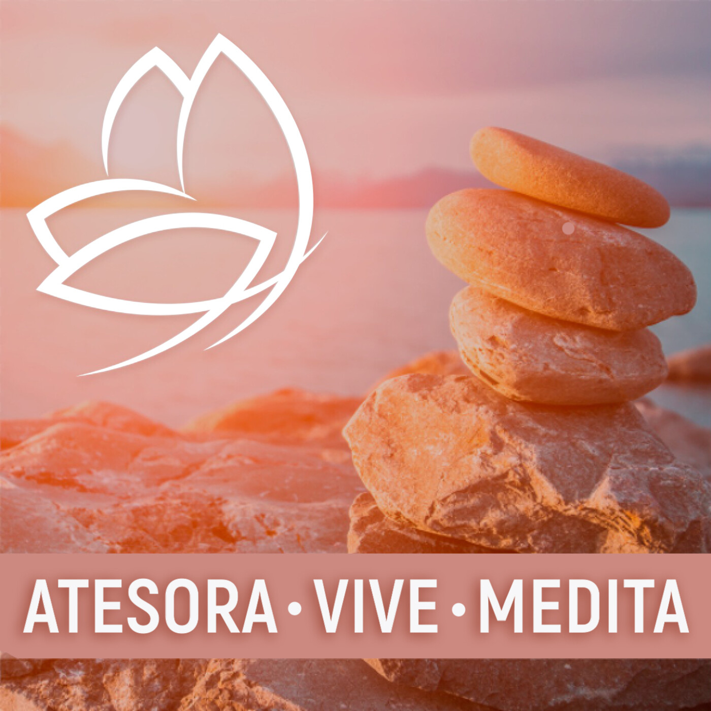 Atesora, vive, medita