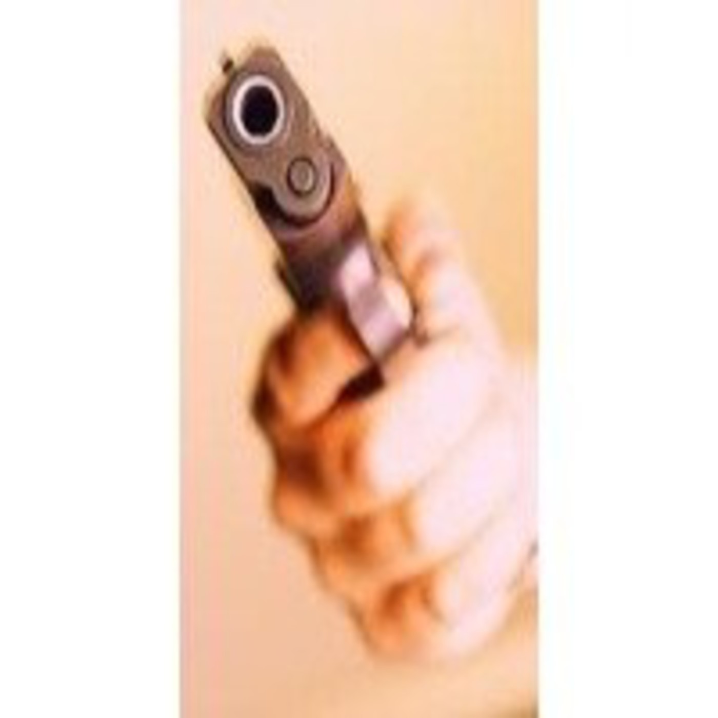 Crimenes Imperfectos.Investigadores Forenses (Capitulo 26): Robo a mano armada en Flemington
