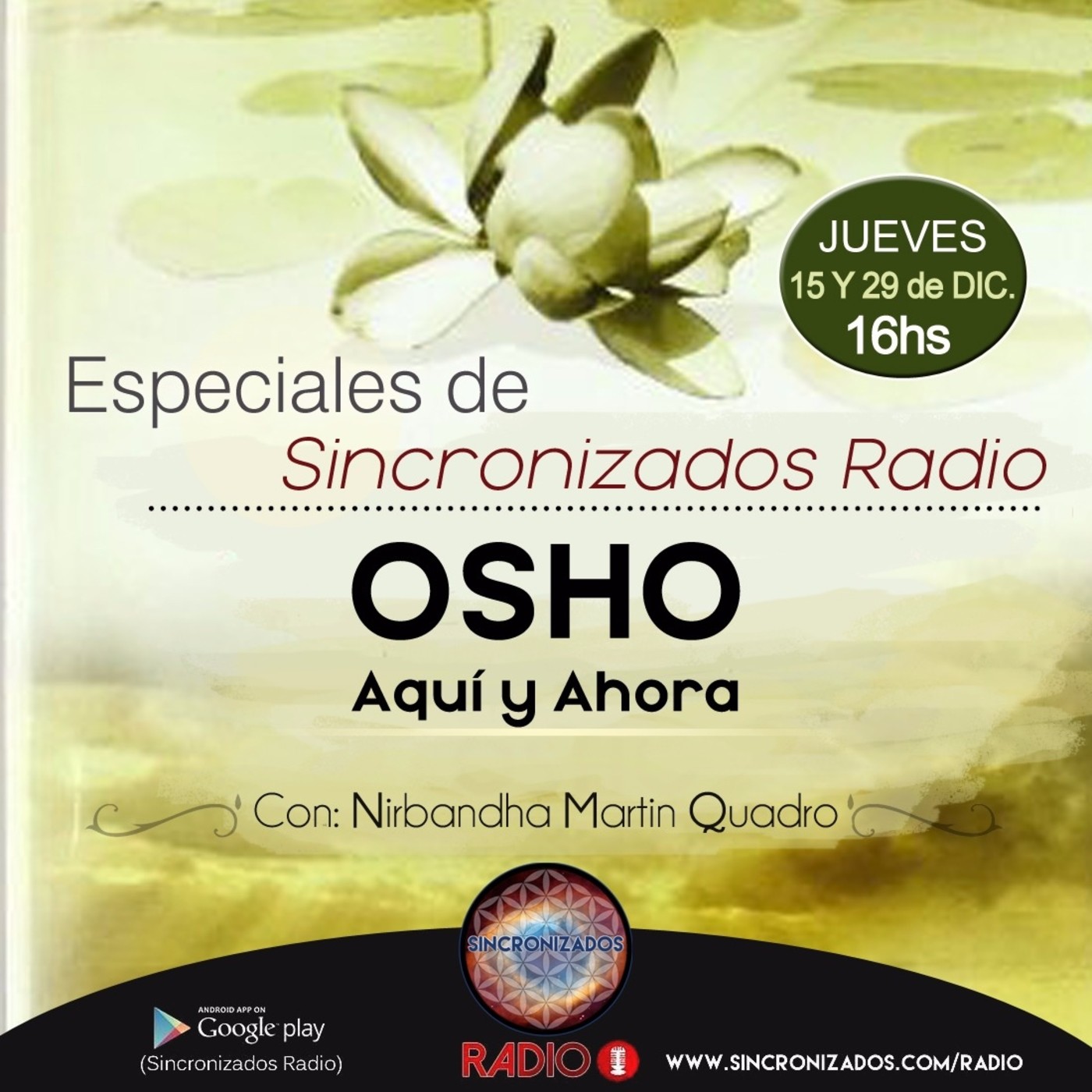 Especiales de Sincronizados Radio