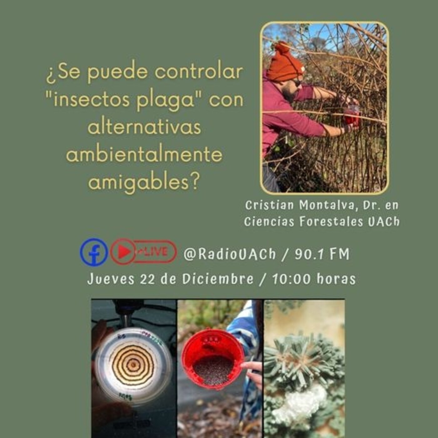 Radio Campus Sustentable