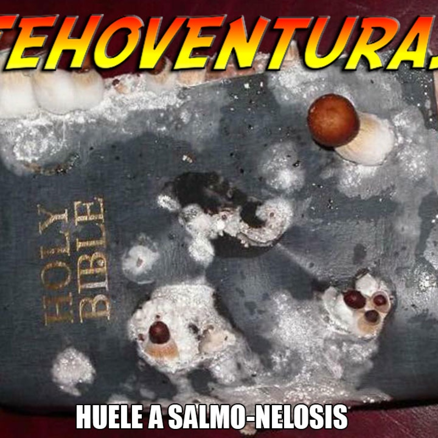 Jehoventuras