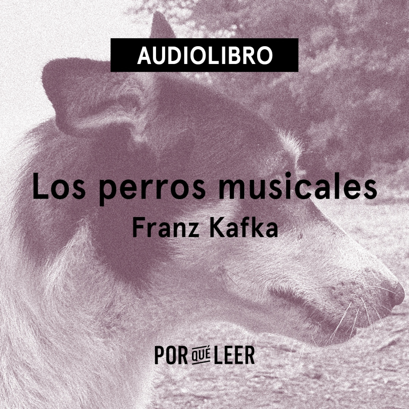Los perros musicales - Franz Kafka episode artwork