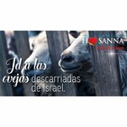 Padre John- Reflexión evangelio madrugada del 10 de Julio de 2019