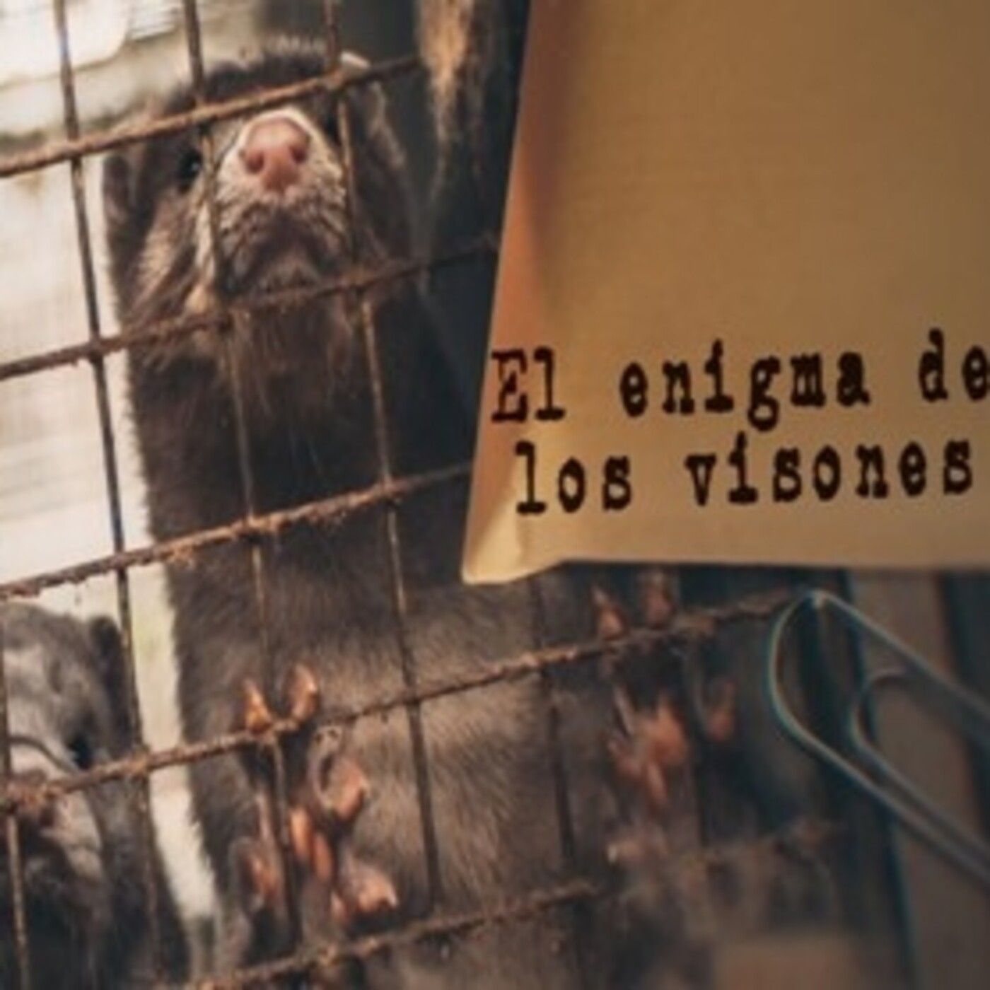 Cuarto milenio: El enigma de los visones