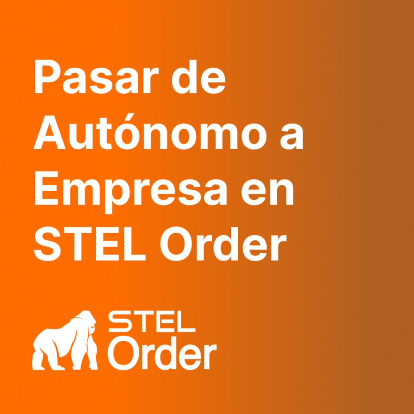 Ayuda y Soporte STEL Order