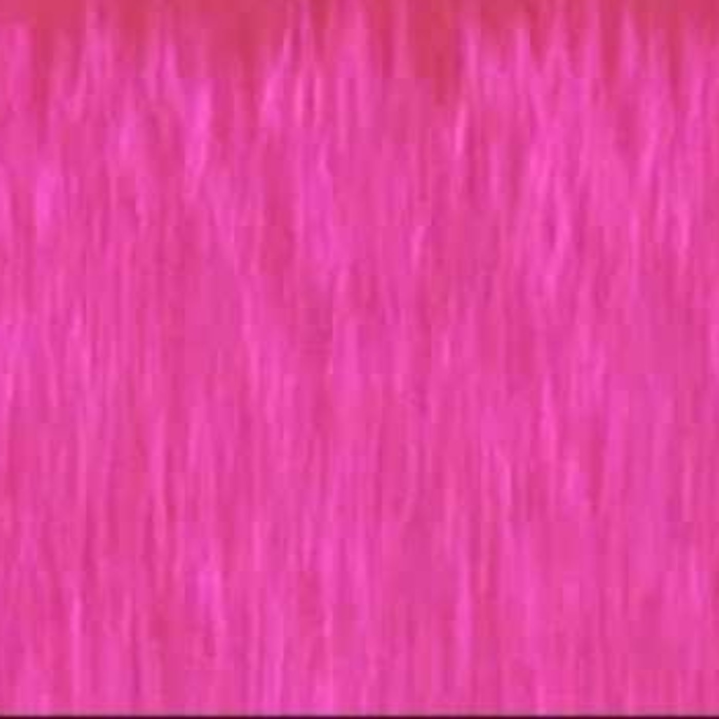 Norma Elizabeth Pimienta