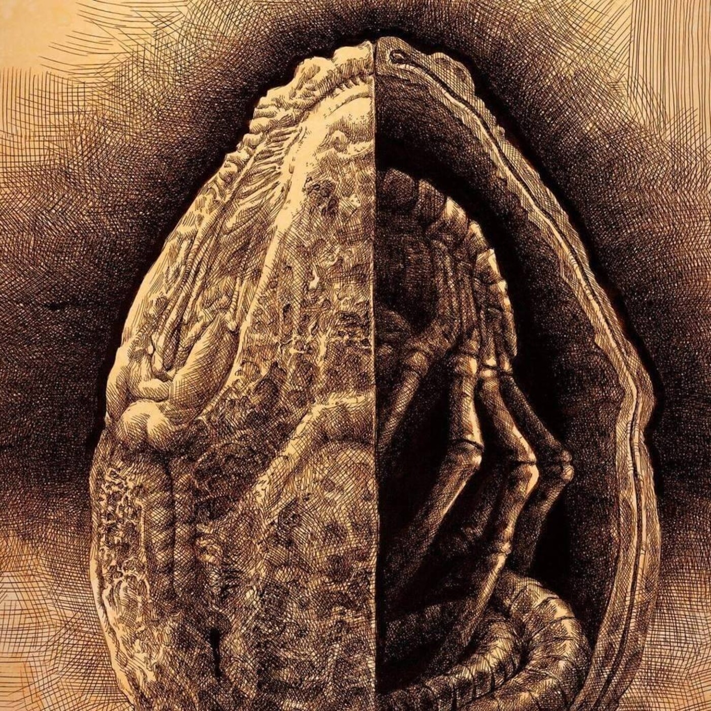 Teknoman