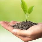 Futuros biólogos de 6-7 años nos hablan del maravilloso mundo de las plantas (en catalán) Prog. 211 LFDLC