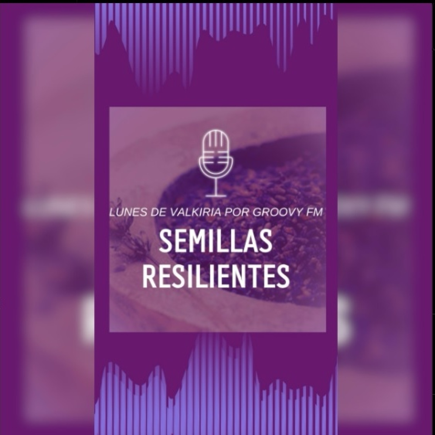 SEMILLAS RESILIENTES 5 KURT COBAIN episode artwork
