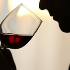 Los Aromas del VIno