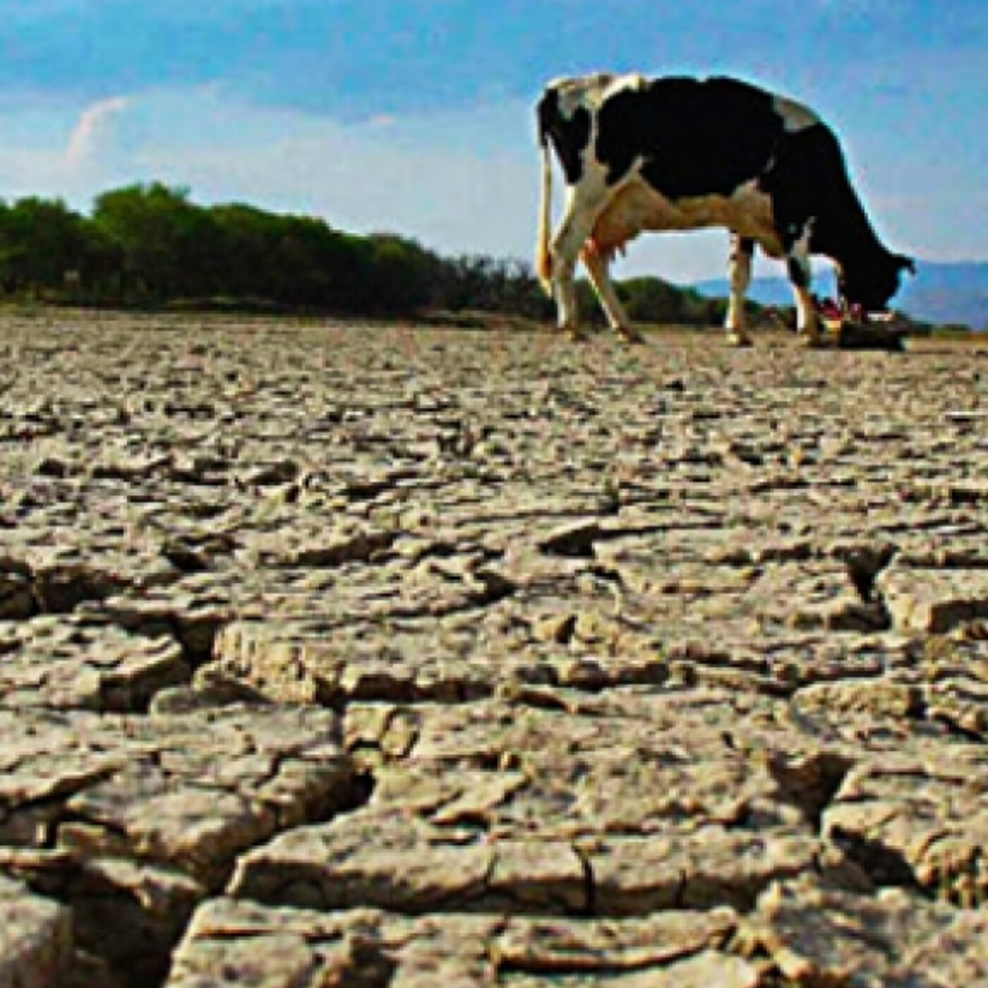 Palabra de Campo