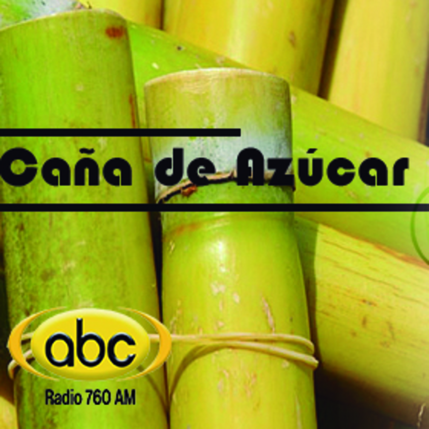 El Ángel de tu Salud - CAÑA DE AZUCAR II episode artwork