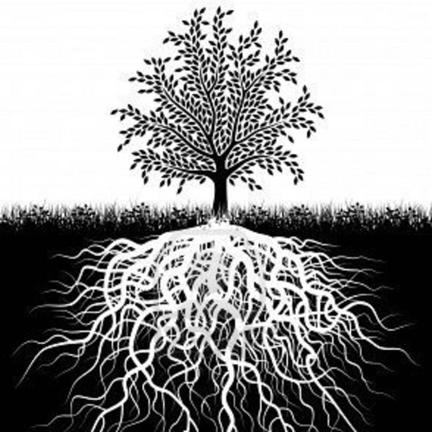 Visualización de María José Mochón