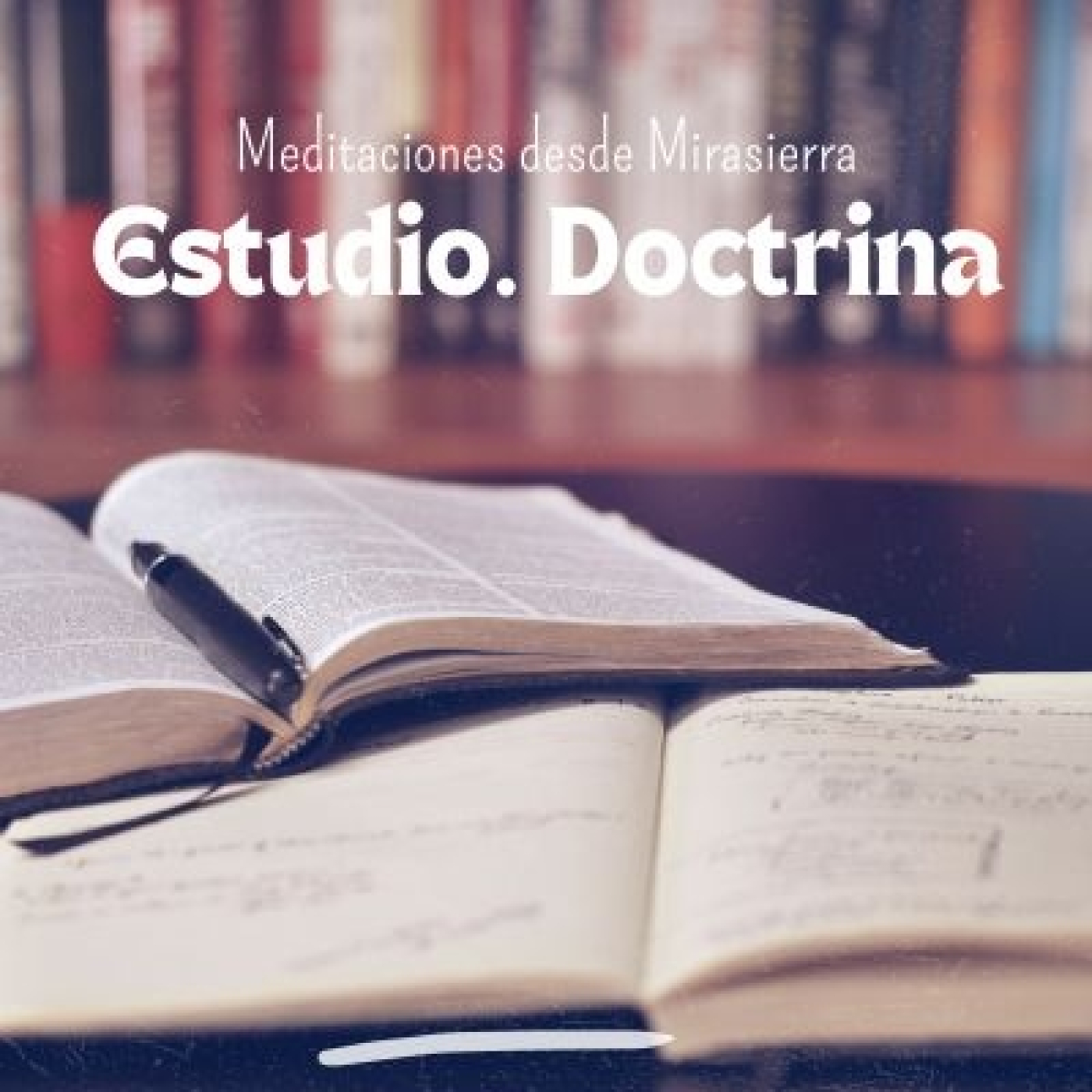 Meditaciones desde Mirasierra