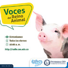Biodiversidad en el Valle de Aburrá