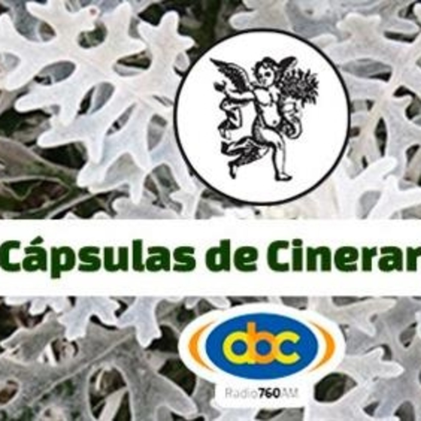 El Ángel de tu Salud - CINERARIA episode artwork