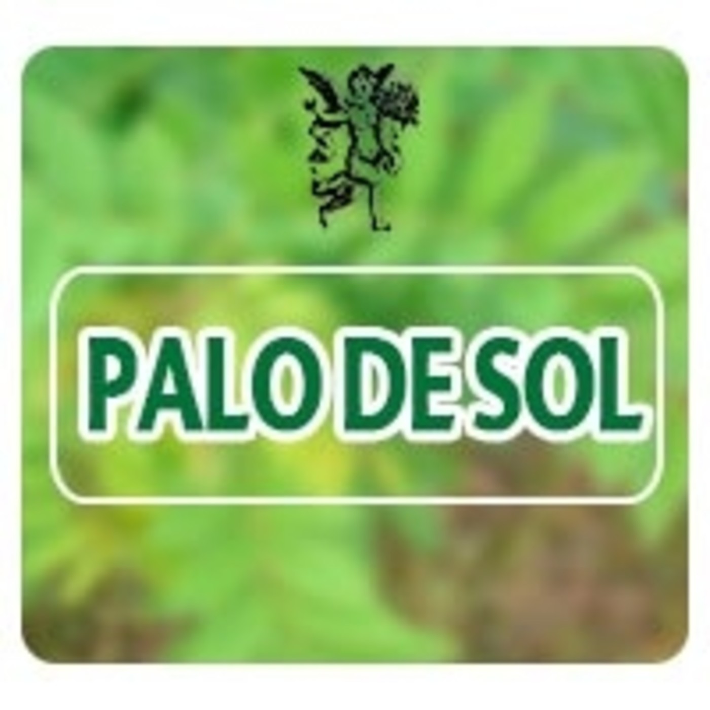 El Ángel de tu Salud - PALO DE SOL* episode artwork