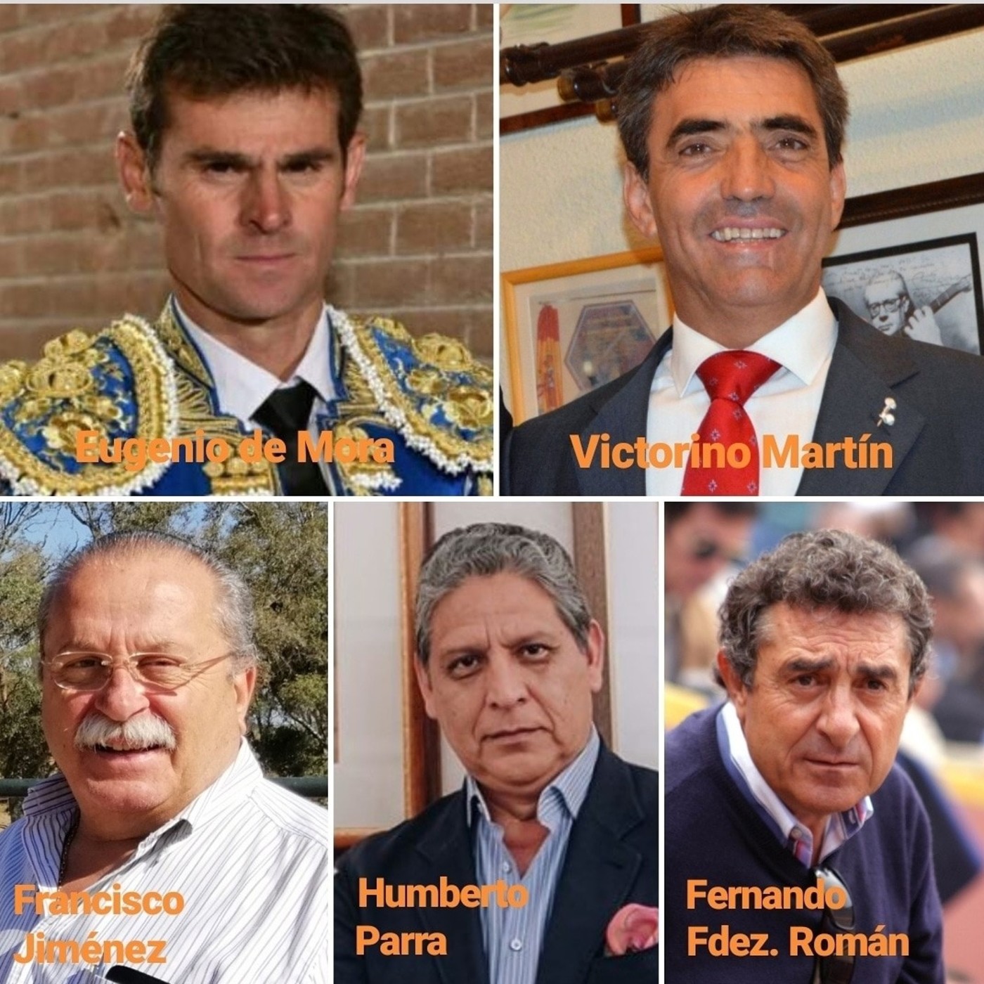 Cafés Taurinos del Wellington 2019
