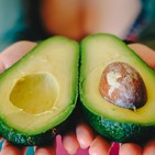 'El aguacate de Málaga es referencia en España pero sobre todo en Europa'