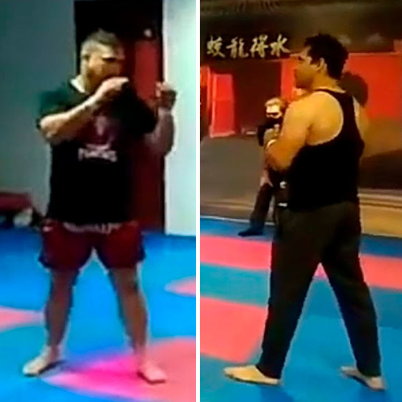 Dragonz | Artes Marciales y Deportes de Contacto