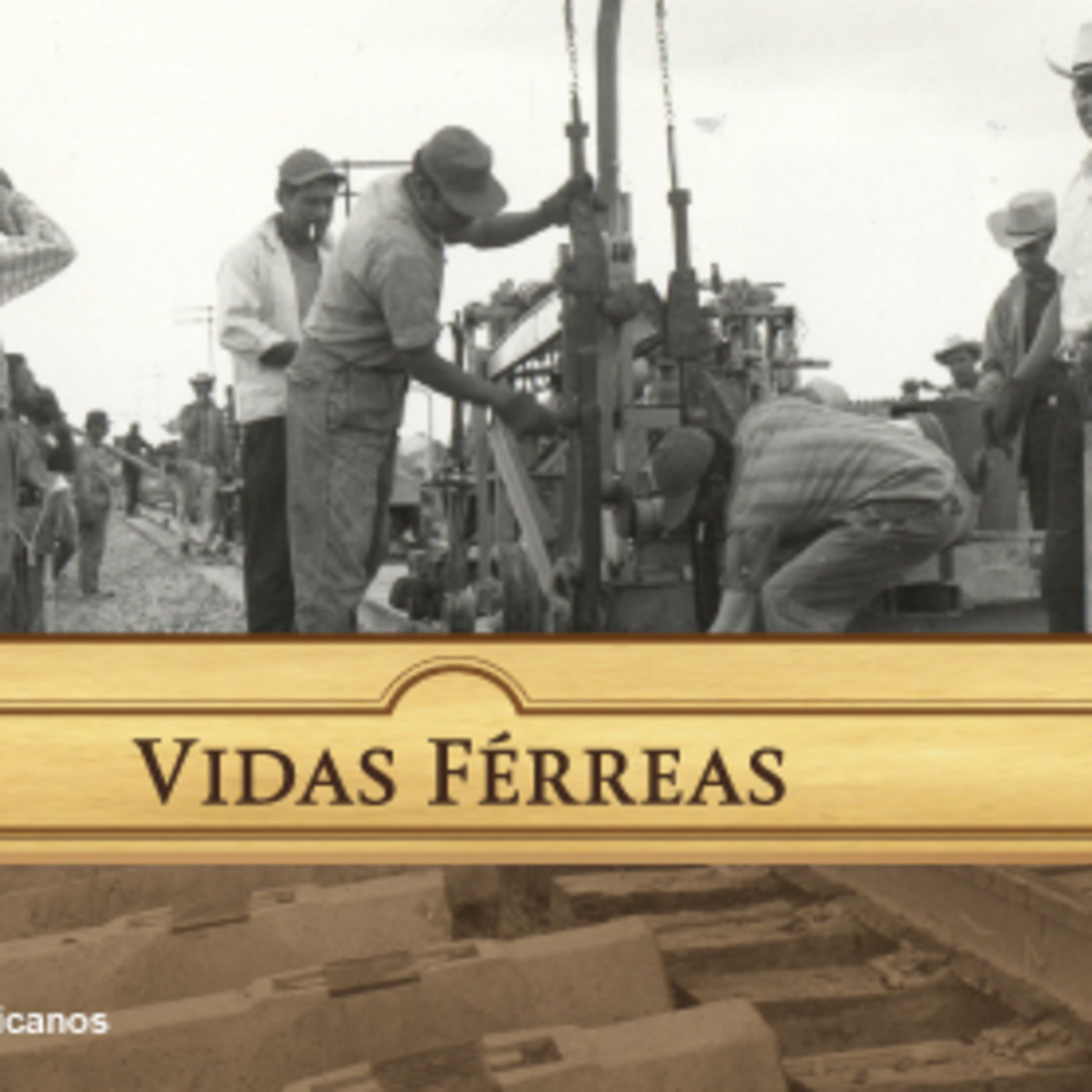 Vidas férreas