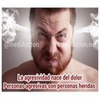 Agresividad: origen y antídoto
