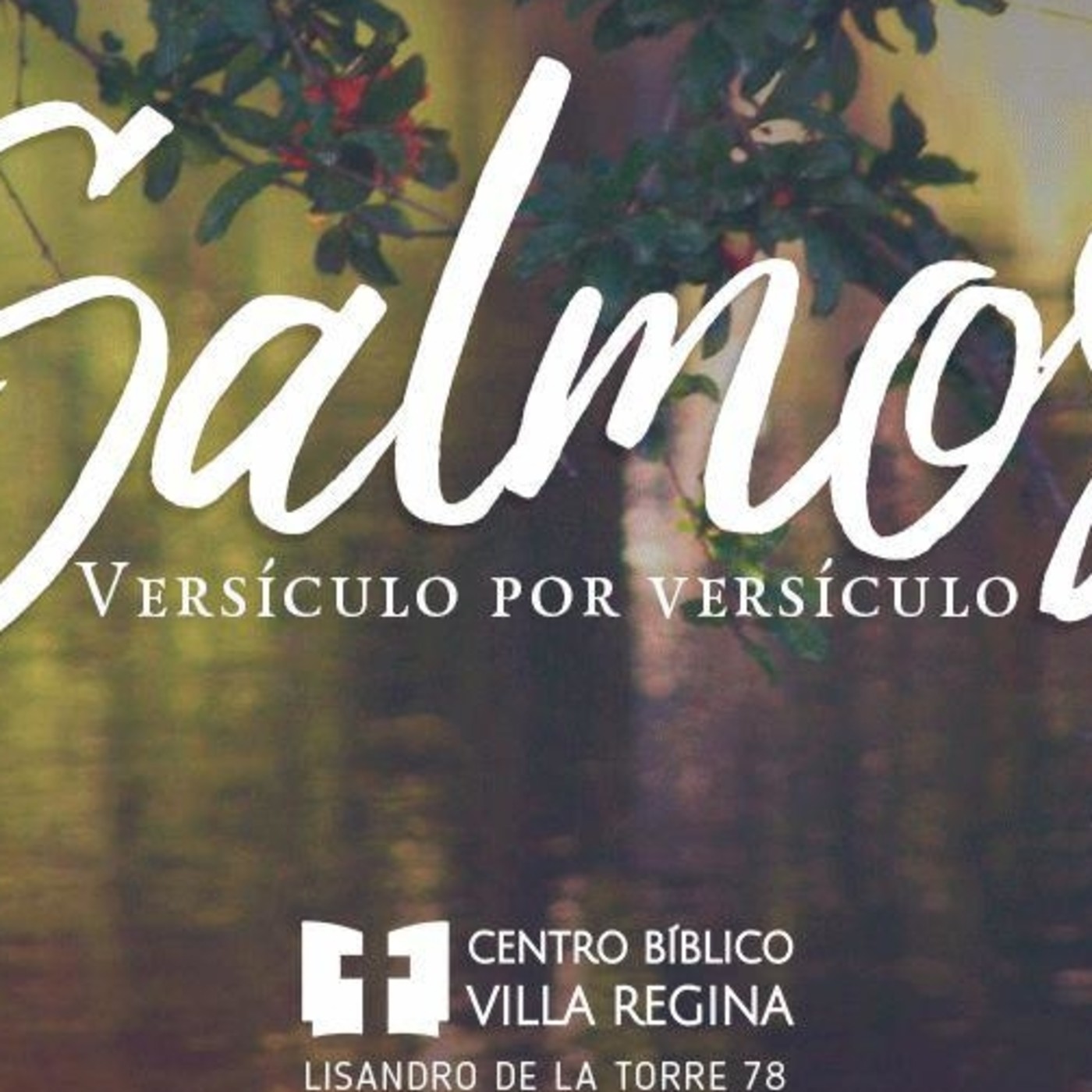 Salmos, versículo por versículo