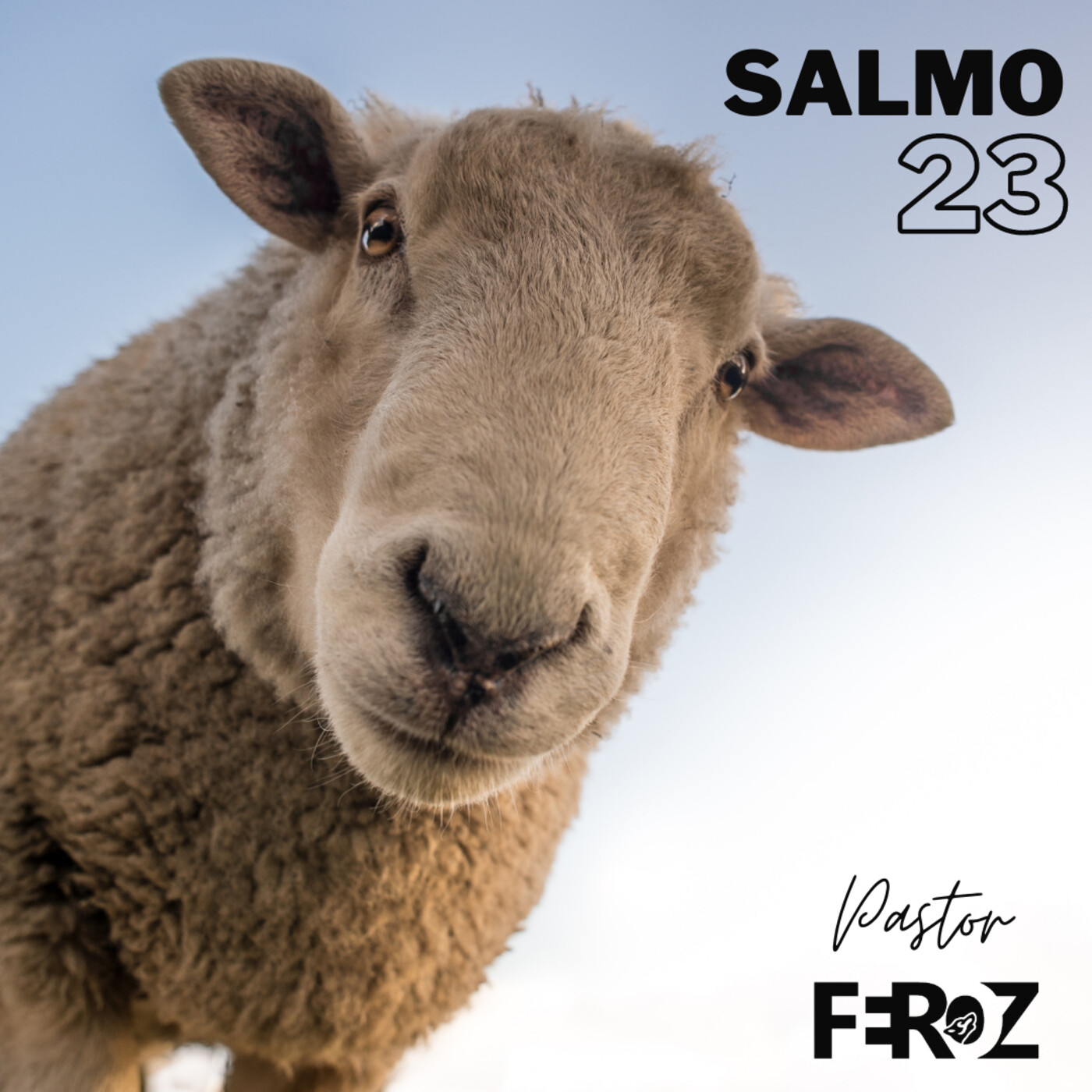 AARON FEROZ ROMERO