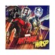 Critidoc. 'Ant-Man y la Avispa'
