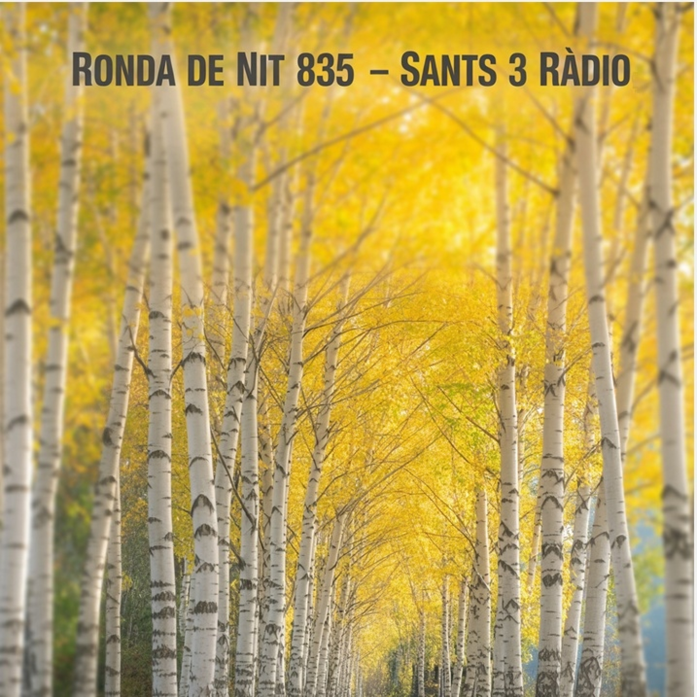 Ronda de Nit a Sants 3 Ràdio (31-10-25) 835 eucademix , Claudia Solal & Benjamin Moussay, Andrew Downing. episode artwork