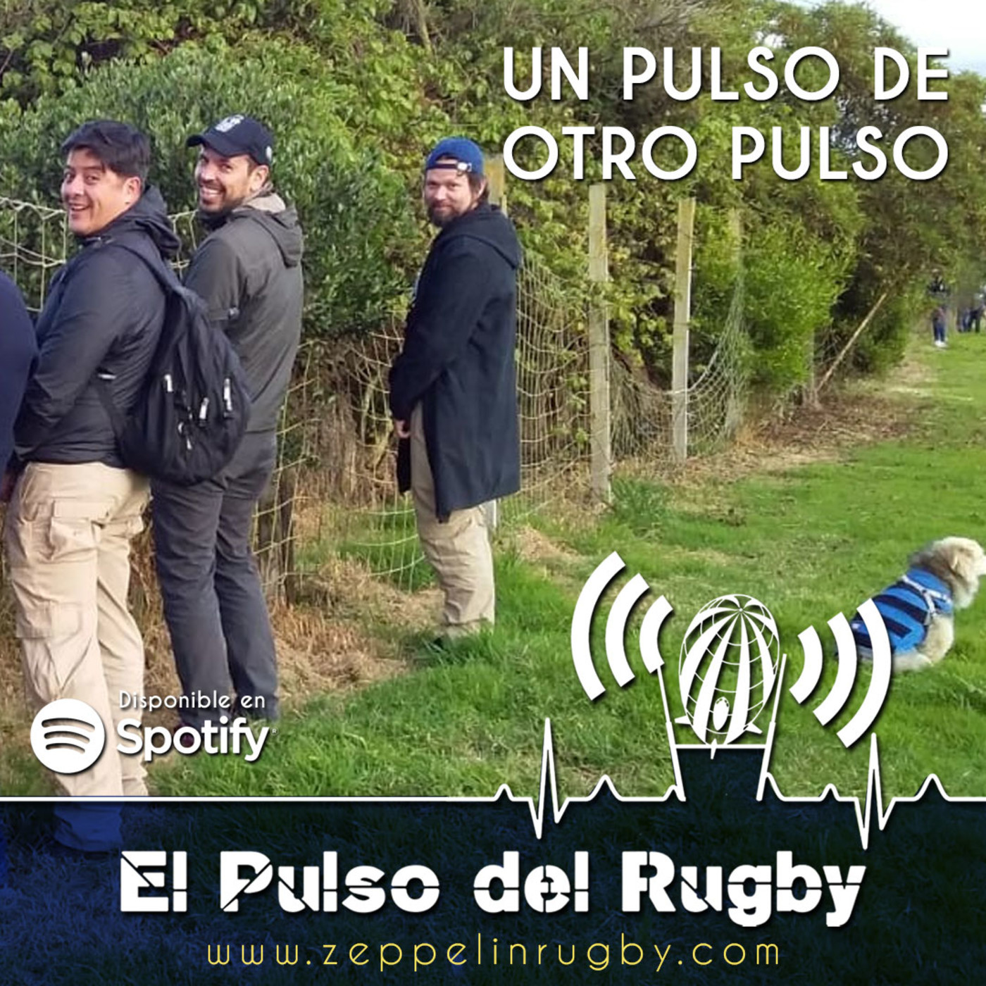 El pulso del rugby