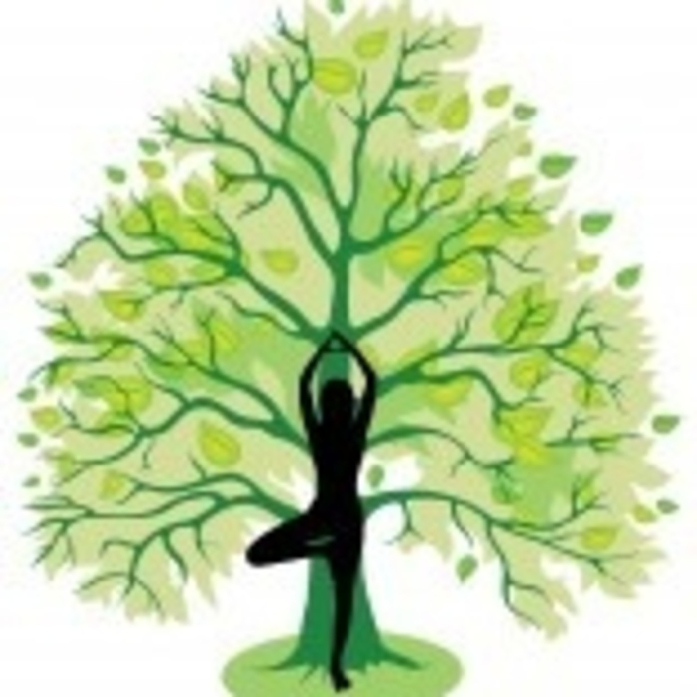 MEDITACIONES GUIADAS