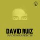 Entrevista con David Ruiz