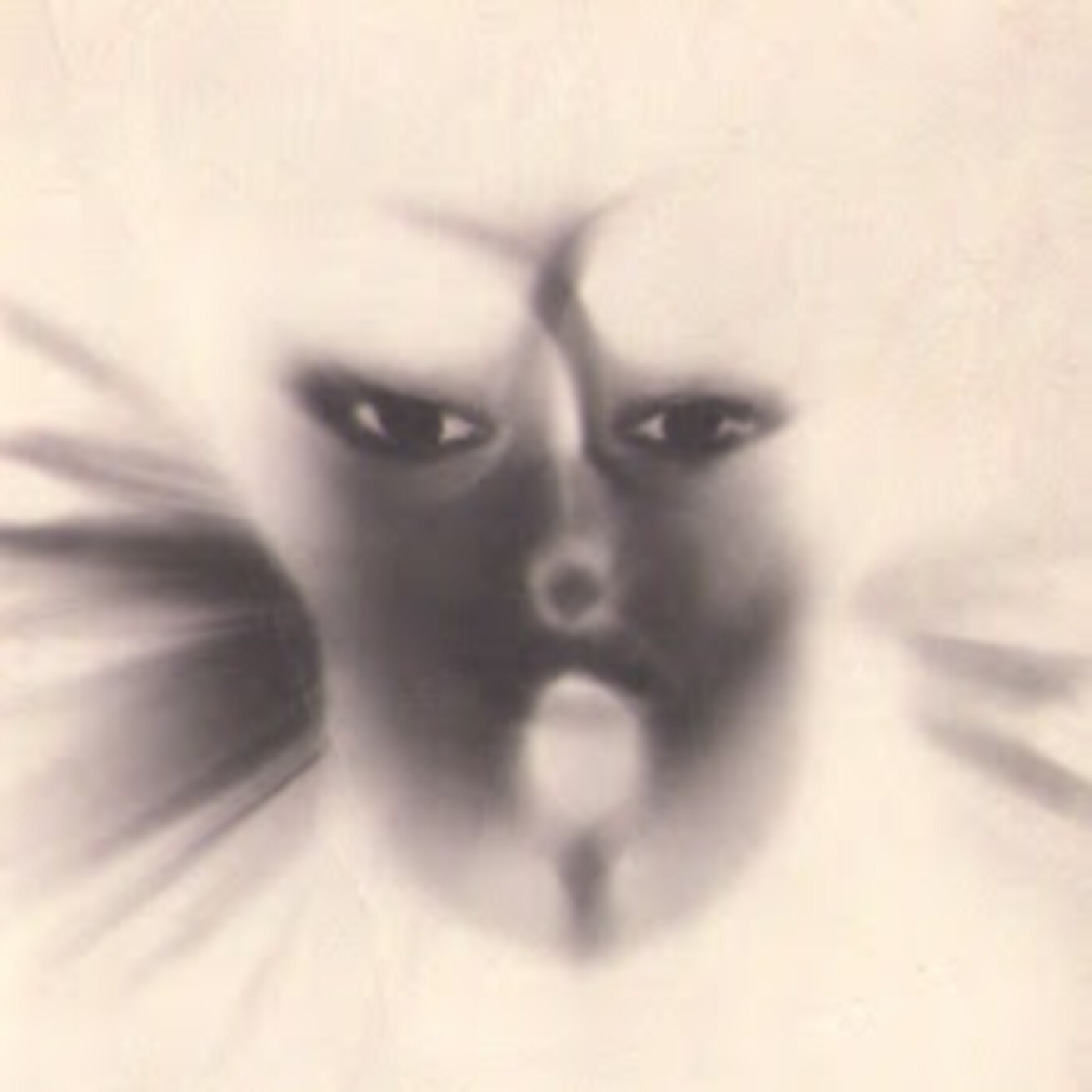 Permaneced puros - Eugenio Siragusa