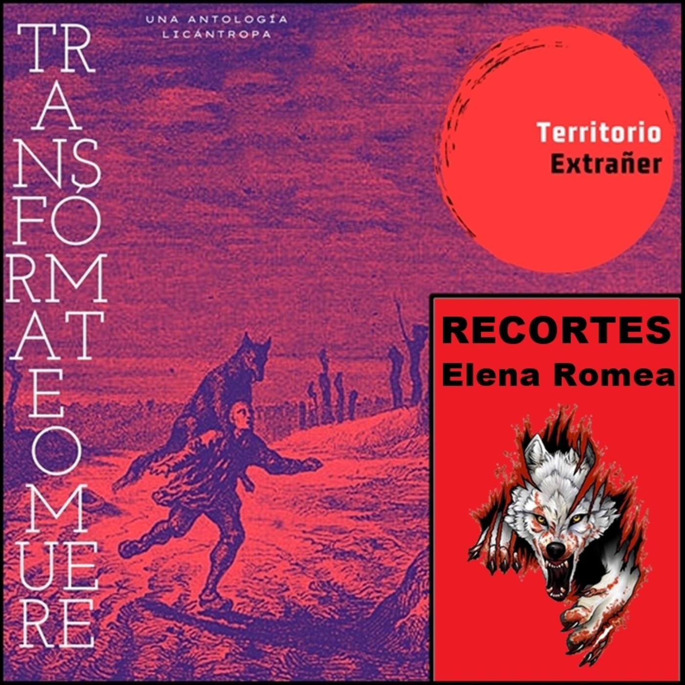 Territorio Extrañer
