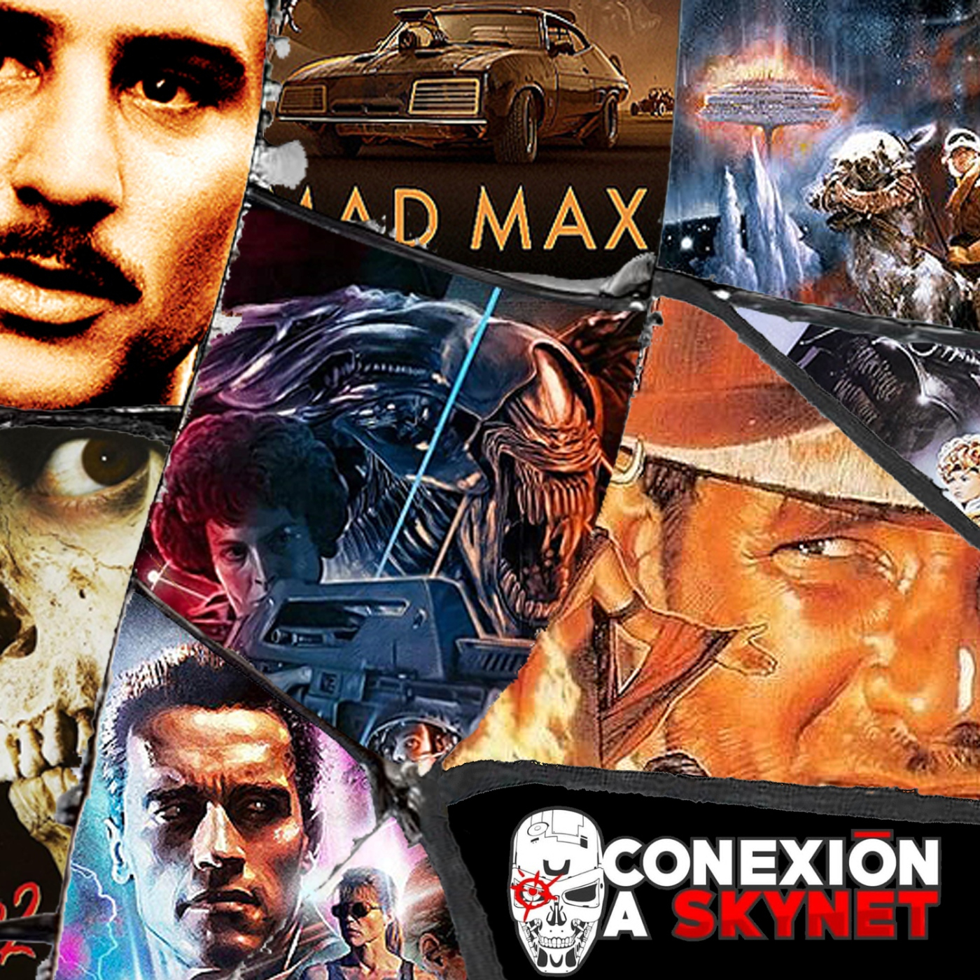 CONEXIÓN A SKYNET