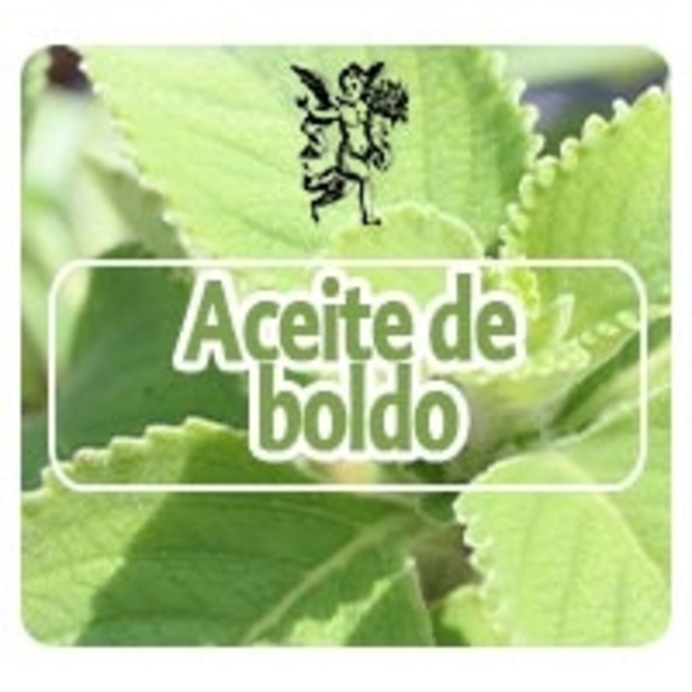 El Ángel de tu Salud - ACEITE DE BOLDO episode artwork