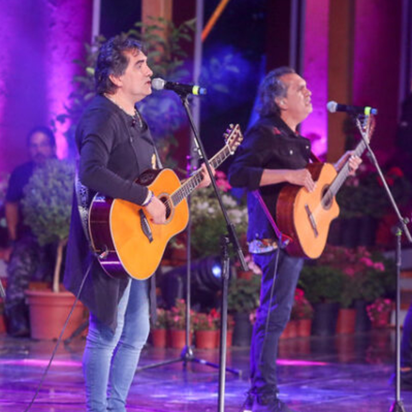 Festival del Huaso de Olmué 2020