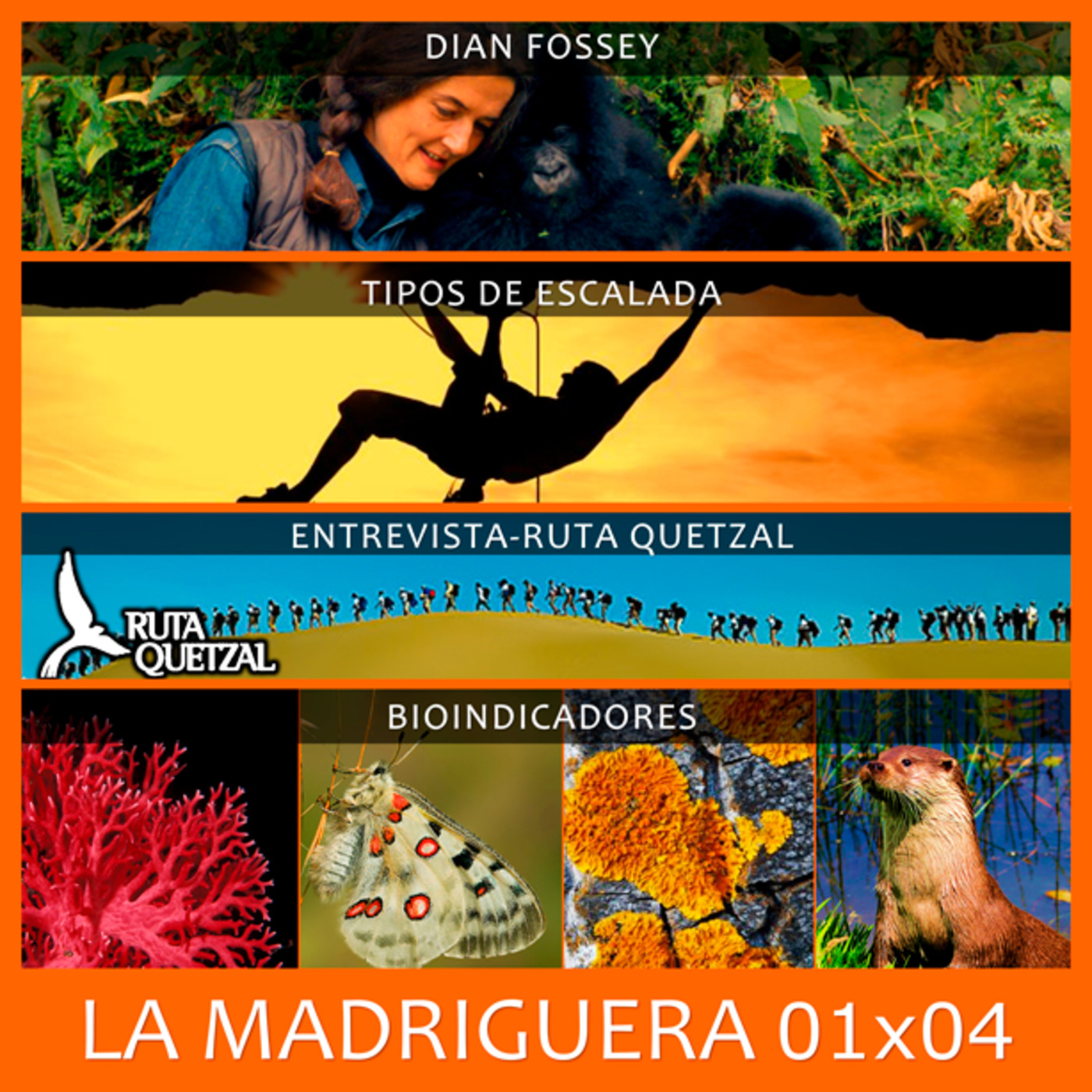 LA MADRIGUERA