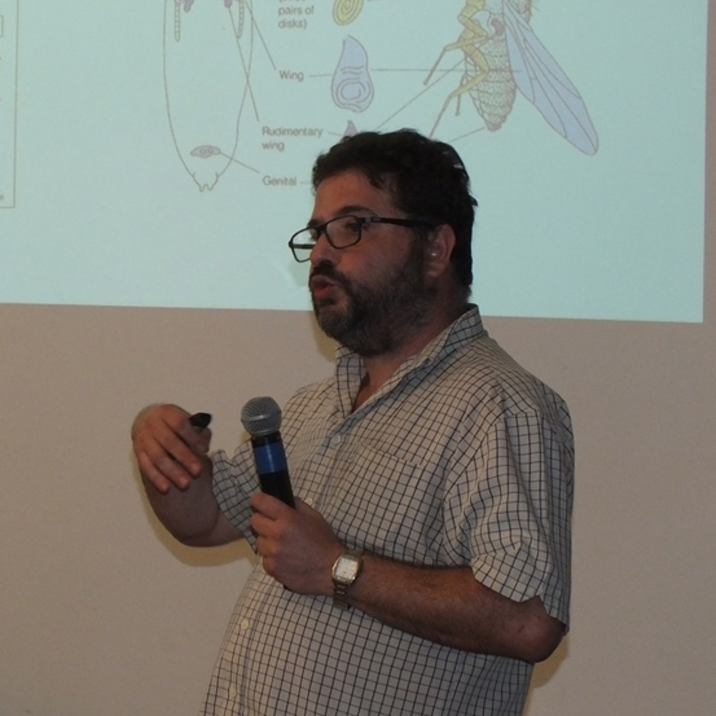 Métodos para reemplazar la experimentación animal