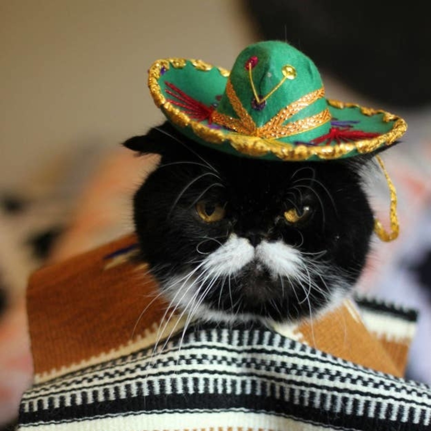 mexican news