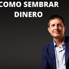 Como sembrar dinero - Raimon Samsó