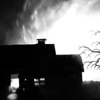 Criatura de la noche (historias de terror)