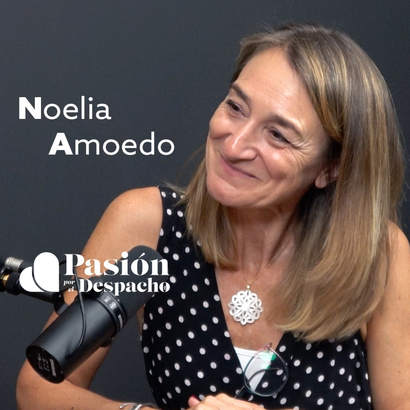 Entrevista Pasión por el Despacho #106 La IA exige estrategia, no solo ejecución. Entrevista a Noelia Amoedo. episode artwork