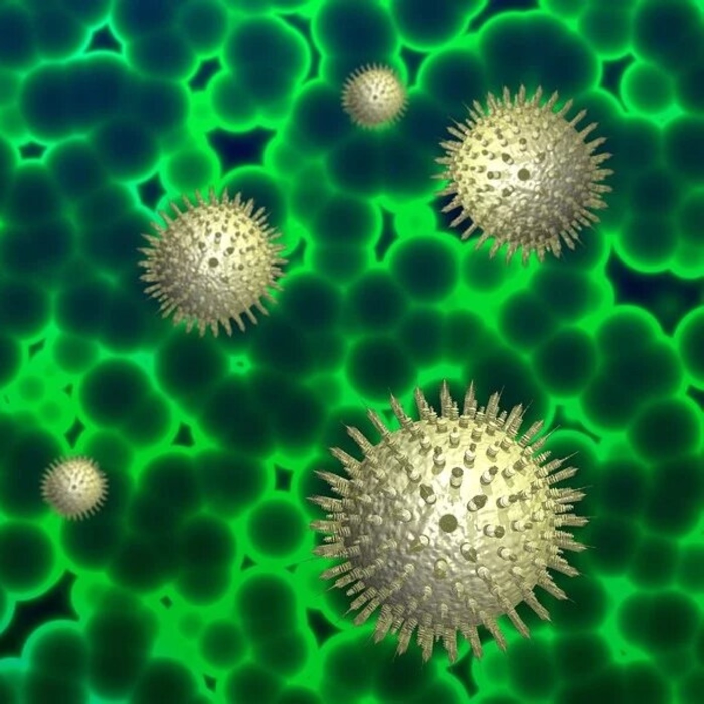 Especials coronavirus