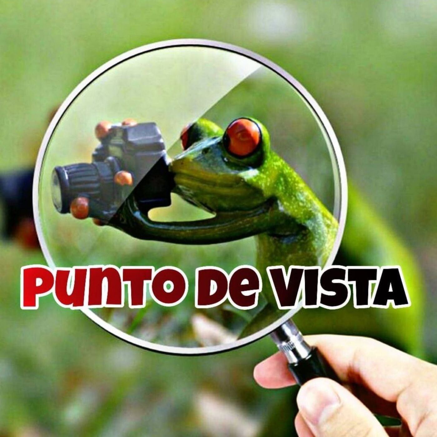 Punto de Vista