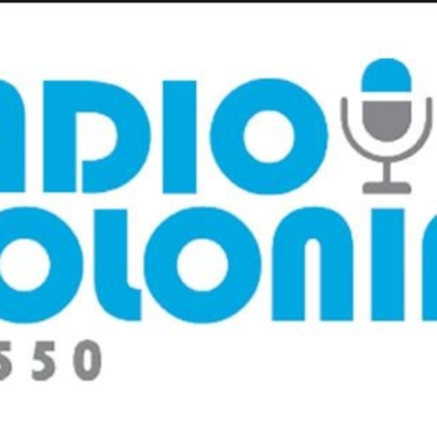 Entrevistas a Javier Lindenboim Año 2020