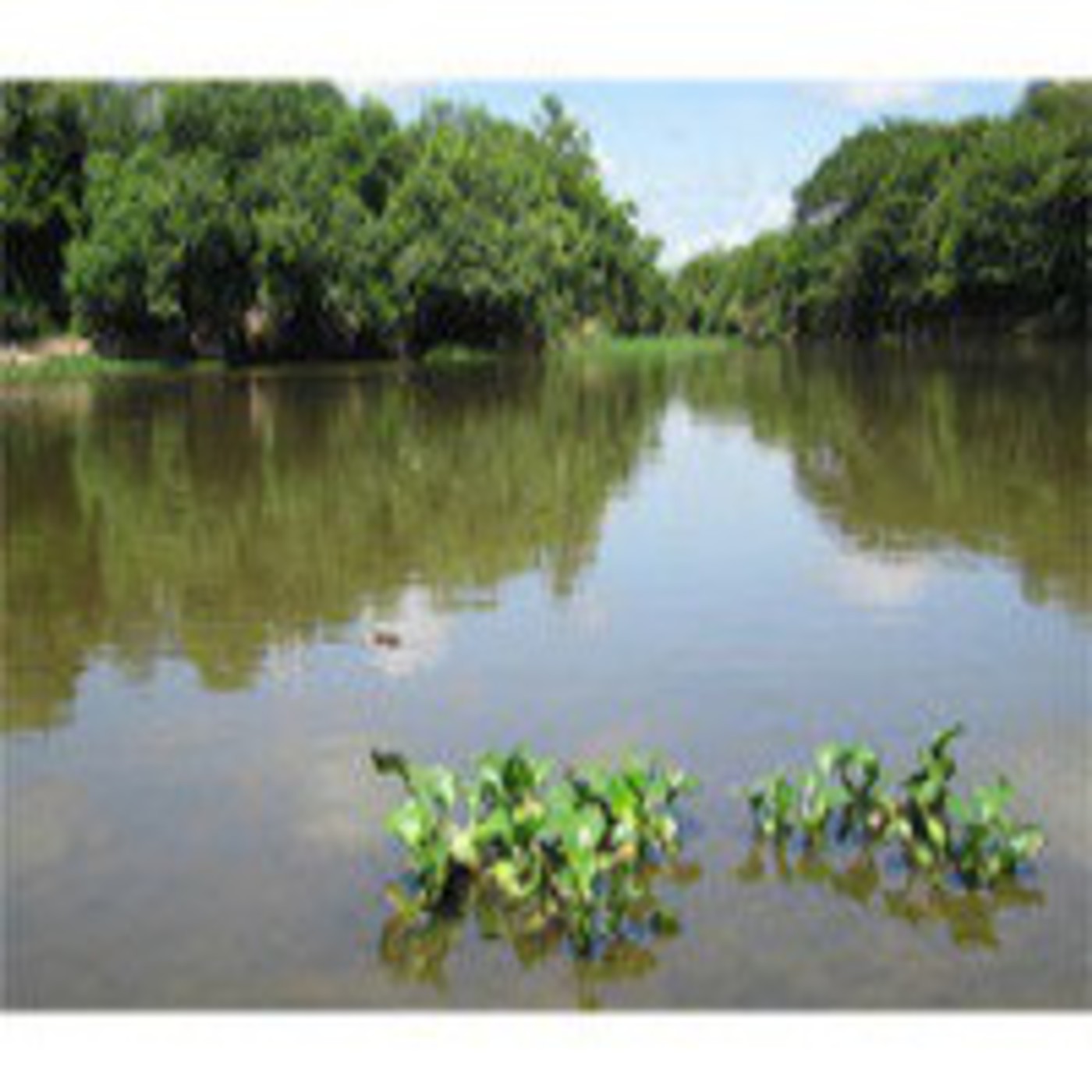 Podcast de TIRSOLUNA